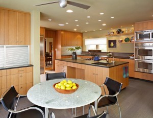 Moisan Remodeling | Kitchen Renovation | Plano TX